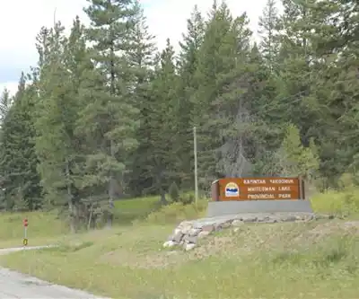 Whiteswan Lake hiking trail - natural landscape