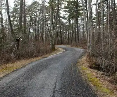 Winding River Park hiking trail - natural landscape