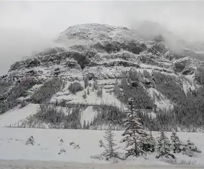 Sentier de randonnée Mount Stephen - paysage naturel