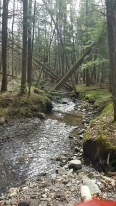 Hiking view of Base plein air André-Nadeau