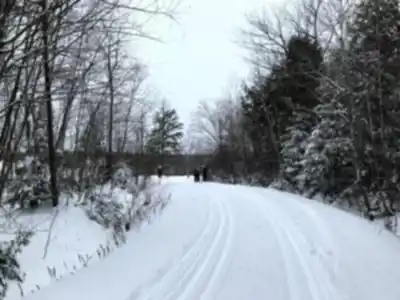 Base plein air André-Nadeau hike - nature and outdoors