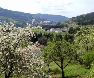 Cascade de la Pissoire hiking trail - natural landscape
