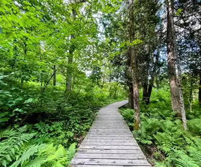Explore Parc Des Chutes Dorwin trail