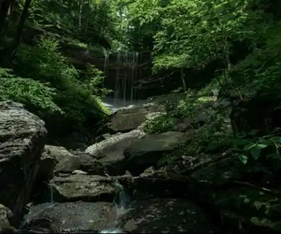 Sentier de randonnée Tinker Falls Trail - paysage naturel