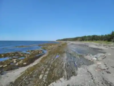 Excursion À L'île Saint-barnabé hiking trail - natural landscape