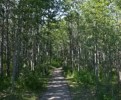 Sentier de randonnée Aspen Beach Provincial Park - paysage naturel