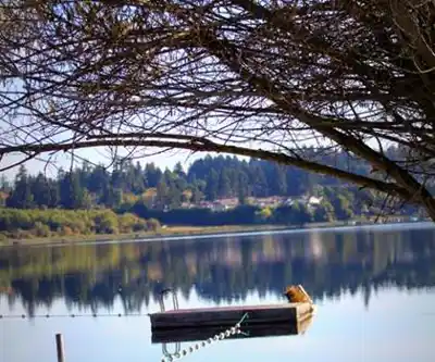 Vue en randonnée de Brannen Lake