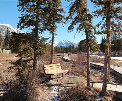 Policeman Creek Trail hiking trail - natural landscape
