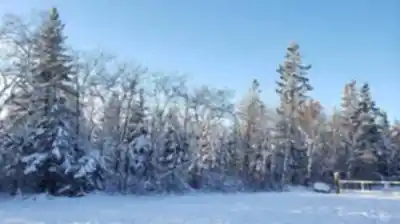 Découvrir Birds Hill Provincial Park en Région de la capitale de Winnipeg
