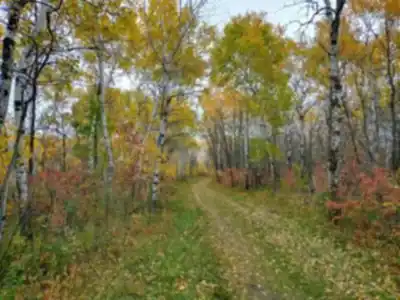 Explorer le sentier Birds Hill Provincial Park
