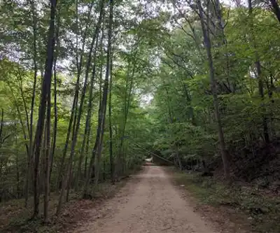 Croton Gorge Park hiking trail - natural landscape