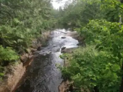 Parc régional de la Chute-à-Bull hike - nature and outdoors