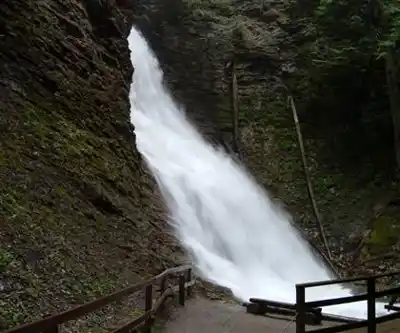 Margaret Falls hiking trail - natural landscape
