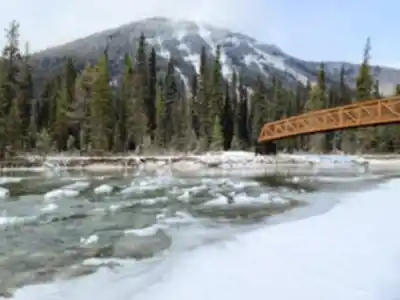 Randonnée Kootenay National Park - nature et plein air