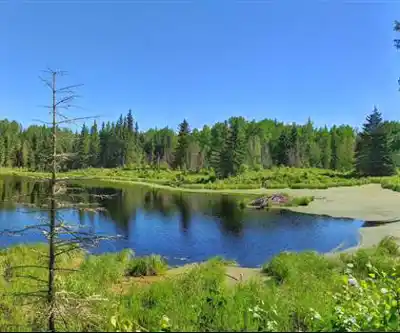 Amisk Lake hiking trail - natural landscape