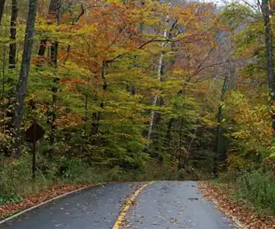Mt Prospect hiking trail - natural landscape