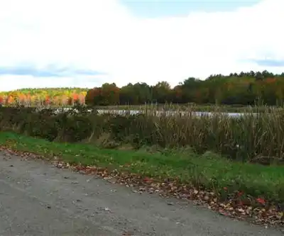 Gould's Landing hiking trail - natural landscape