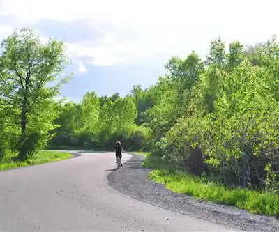 Explore Parc-nature Du Cap-saint-jacques trail
