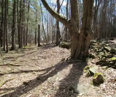 Rensselaerville Falls Trail hiking trail - natural landscape