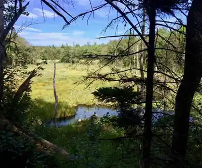 Shaker Trail hiking trail - natural landscape