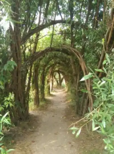 Sentier Pied Nu hike - nature and outdoors