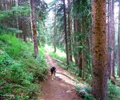 Sentier de randonnée Beckwith Park - paysage naturel