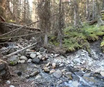 Sentier de randonnée Peter Lougheed Provincial Park - paysage naturel