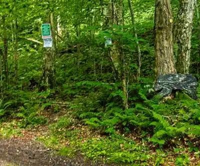 Sentier de randonnée Bear Mountain Hike Trail - paysage naturel