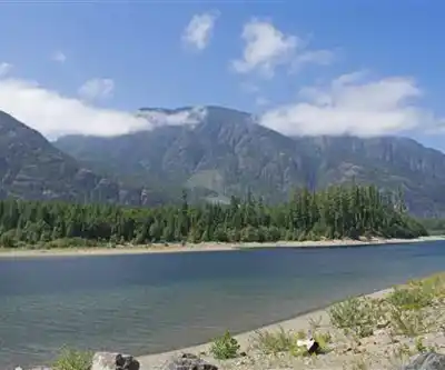 Buttle Lake hiking trail - natural landscape