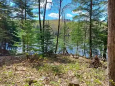 Explore Réserve Naturelle Alfred-kelly trail