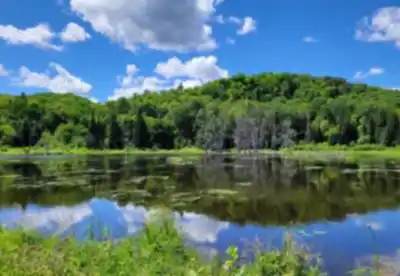 Réserve Naturelle Alfred-kelly hiking trail - natural landscape