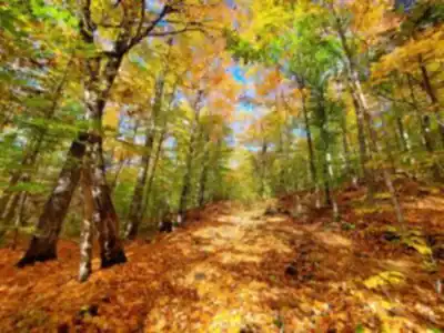 On the trails of Réserve Naturelle Alfred-kelly