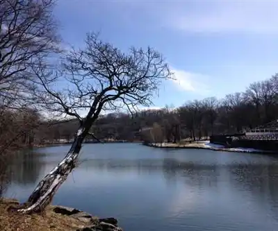 Sentier de randonnée Van Cortlandt Park - paysage naturel