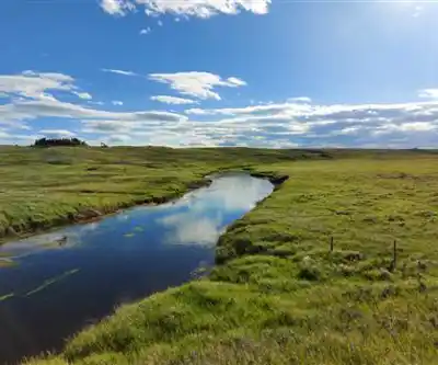 Mountain Creek Resort hiking trail - natural landscape