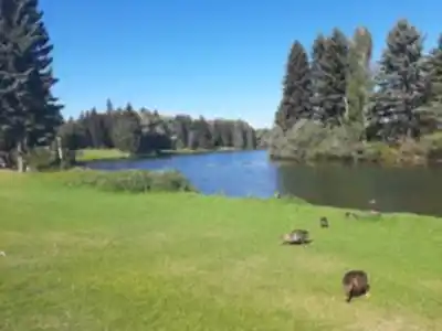 Découvrir Hawrelak Park en Edmonton & Area