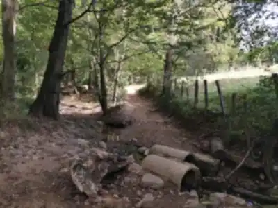 Discover Sentier De L'Yzeron in Rhône