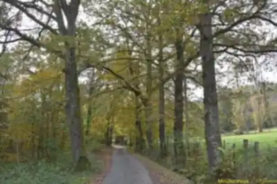 Hiking view of Sentier De L'Yzeron