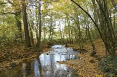 Sentier De L'Yzeron hiking trail - natural landscape