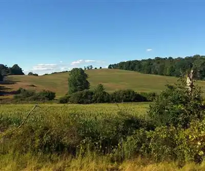 Innisfree Garden hiking trail - natural landscape