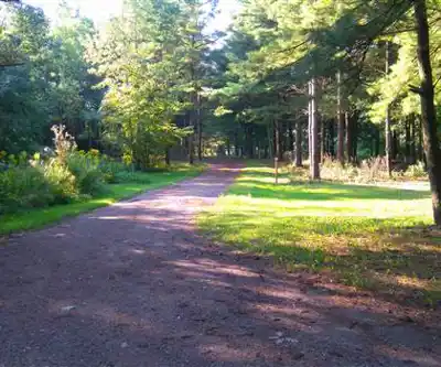 Selkirk Provincial Park hiking trail - natural landscape