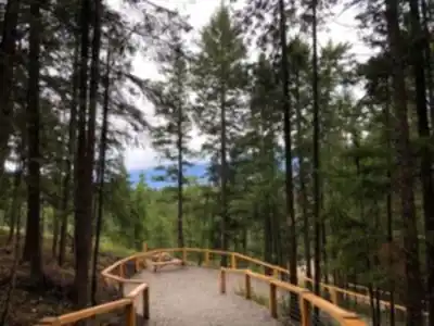On the trails of Golden Skybridge