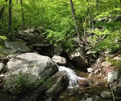 Ramapo Lake hiking trail - natural landscape