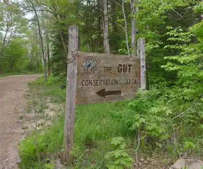 Paysage de The Gut Conservation Area - randonnée pédestre