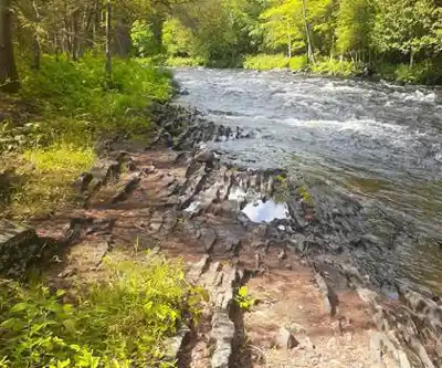 Randonnée The Gut Conservation Area - nature et plein air