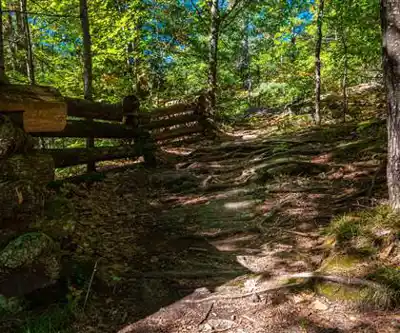 Découvrir The Gut Conservation Area en Haliburton Highlands to the Ottawa Valley