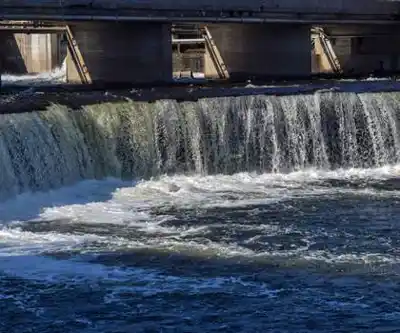 Fenelon Falls hiking trail - natural landscape