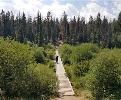 Hiking view of Valley of the Five Lakes Trail