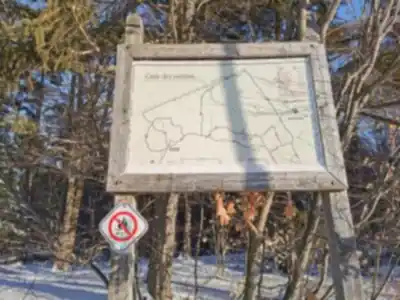 Discover Bois Beckett in Eastern Townships