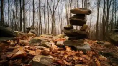 Bois Beckett hike - nature and outdoors