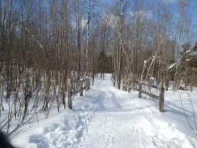 Hiking view of Bois Beckett